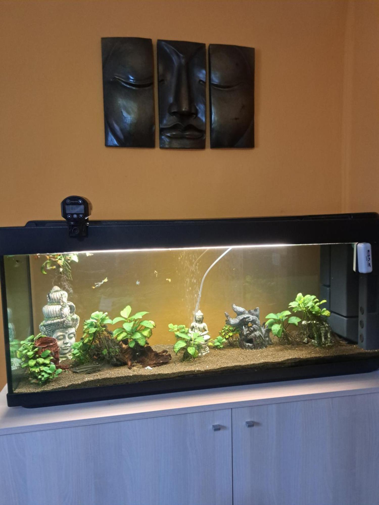 Casa Poldo Apartment Cantello ภายนอก รูปภาพ